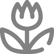 Generando Lazos Profesionales